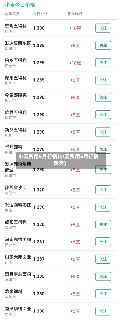 小麦费用5月行情(小麦费用5月行情走势)