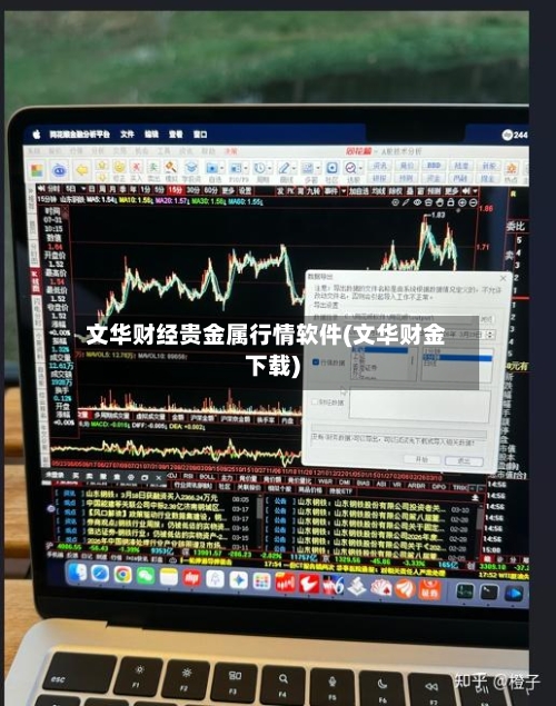 文华财经贵金属行情软件(文华财金下载)