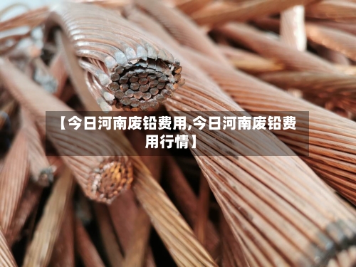 【今日河南废铅费用,今日河南废铅费用行情】-第2张图片