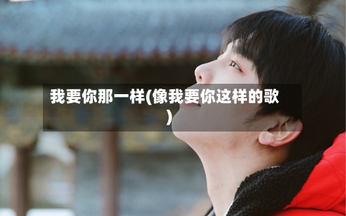 我要你那一样(像我要你这样的歌)-第3张图片