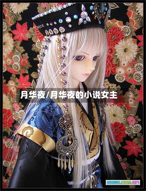 月华夜/月华夜的小说女主-第2张图片