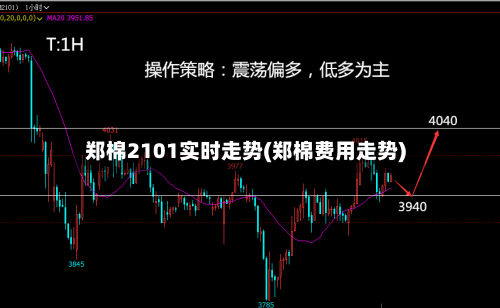 郑棉2101实时走势(郑棉费用走势)