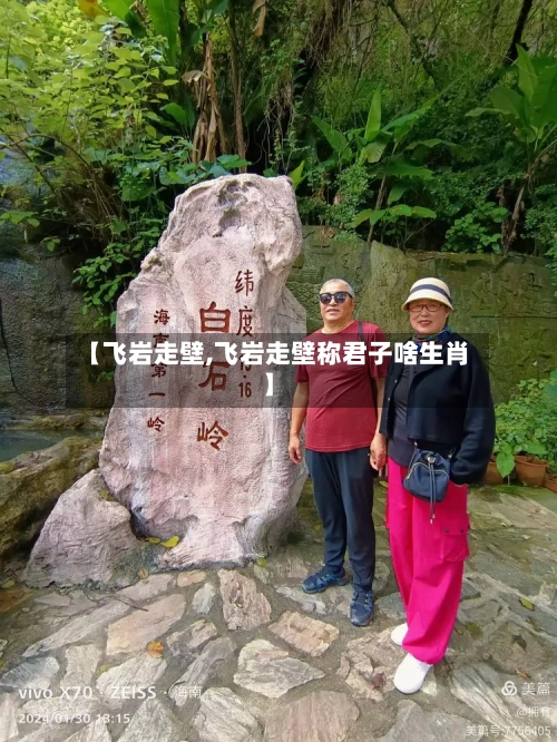 【飞岩走壁,飞岩走壁称君子啥生肖】