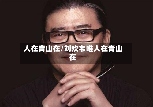 人在青山在/刘欢韦唯人在青山在