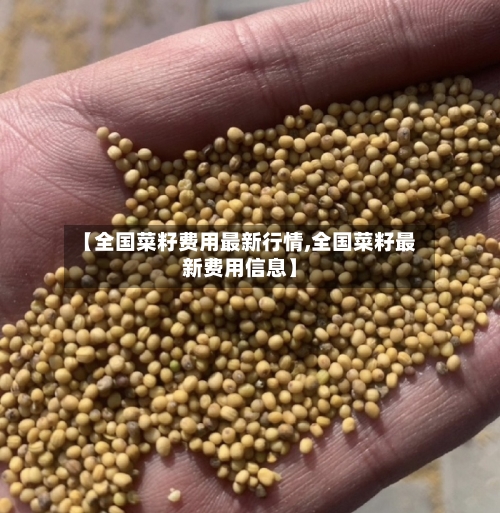 【全国菜籽费用最新行情,全国菜籽最新费用信息】