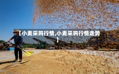 【小麦采购行情,小麦采购行情走势】-第2张图片