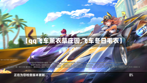 【qq飞车薰衣草庄园,飞车冬日毛衣】-第2张图片