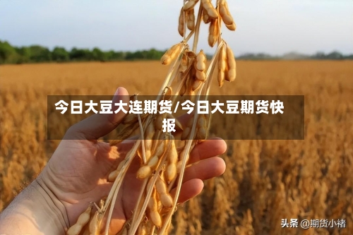 今日大豆大连期货/今日大豆期货快报