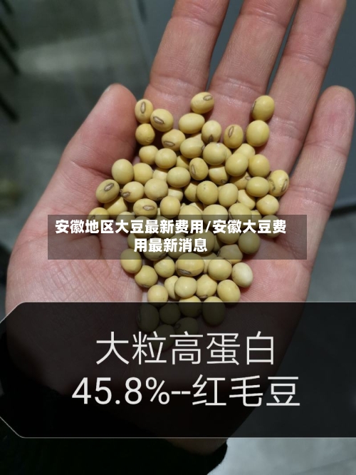安徽地区大豆最新费用/安徽大豆费用最新消息