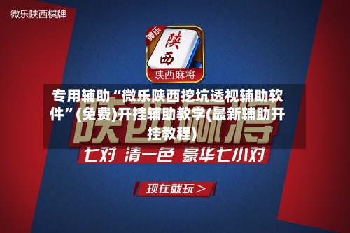 专用辅助“微乐陕西挖坑透视辅助软件”(免费)开挂辅助教学(最新辅助开挂教程)-第2张图片