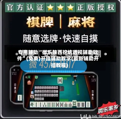 专用辅助“微乐陕西挖坑透视辅助软件”(免费)开挂辅助教学(最新辅助开挂教程)-第3张图片