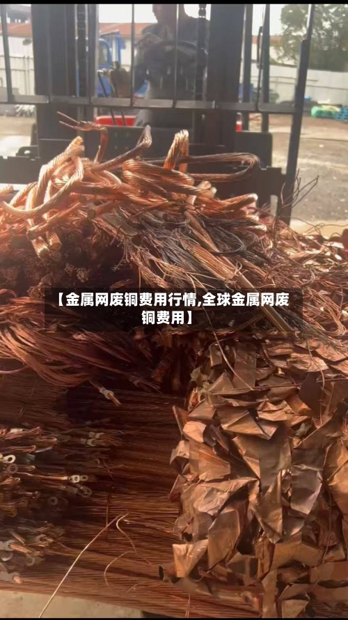 【金属网废铜费用行情,全球金属网废铜费用】-第2张图片