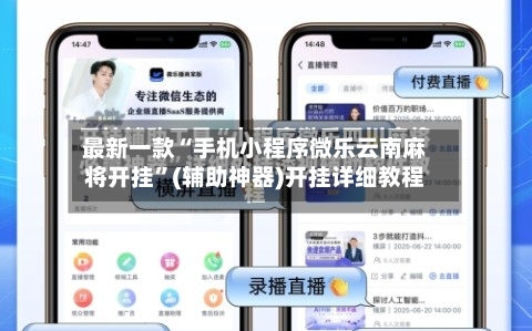 最新一款“手机小程序微乐云南麻将开挂	”(辅助神器)开挂详细教程-第2张图片