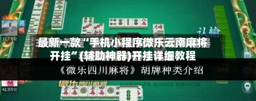 最新一款“手机小程序微乐云南麻将开挂”(辅助神器)开挂详细教程-第3张图片