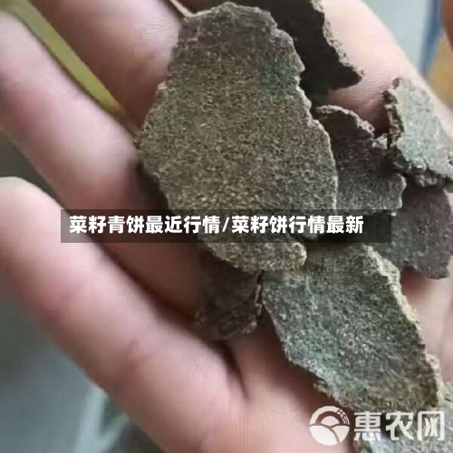 菜籽青饼最近行情/菜籽饼行情最新