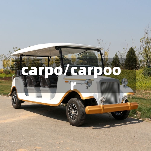 carpo/carpoor-第2张图片