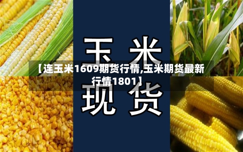 【连玉米1609期货行情,玉米期货最新行情1801】