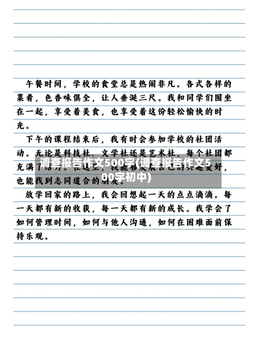 调查报告作文500字(调查报告作文500字初中)