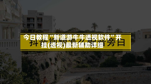 今日教程“新道游牛牛透视软件”开挂(透视)最新辅助详细-第3张图片