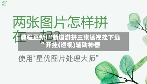 教程更新!“新道游拼三张透视挂下载”开挂(透视)辅助神器