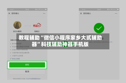 教程辅助“微信小程序家乡大贰辅助器”科技辅助神器手机版-第3张图片