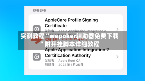 实测教程“wepoker辅助器免费下载”附开挂脚本详细教程-第2张图片