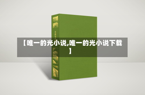 【唯一的光小说,唯一的光小说下载】