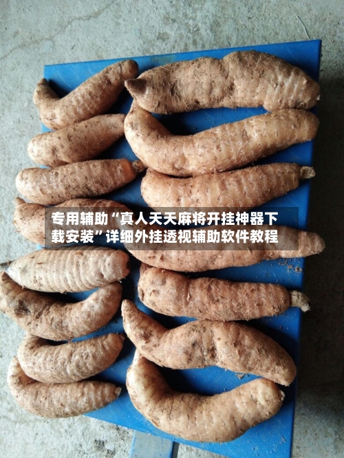 专用辅助“真人天天麻将开挂神器下载安装”详细外挂透视辅助软件教程-第3张图片