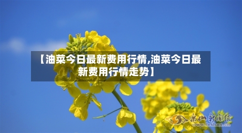【油菜今日最新费用行情,油菜今日最新费用行情走势】-第2张图片