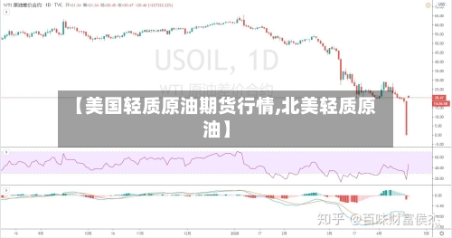 【美国轻质原油期货行情,北美轻质原油】-第2张图片