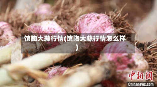 馆陶大蒜行情(馆陶大蒜行情怎么样)