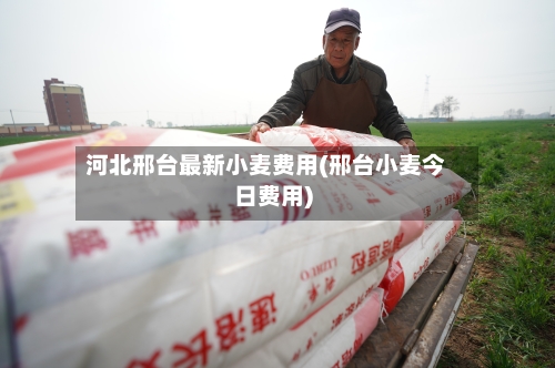 河北邢台最新小麦费用(邢台小麦今日费用)