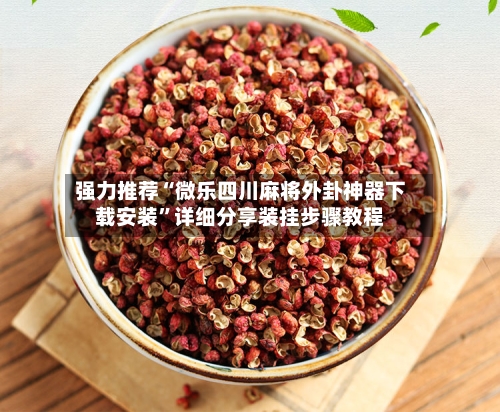 强力推荐“微乐四川麻将外卦神器下载安装	”详细分享装挂步骤教程-第2张图片