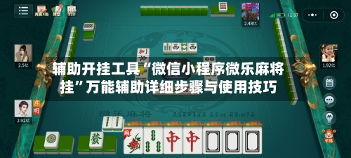 辅助开挂工具“微信小程序微乐麻将挂”万能辅助详细步骤与使用技巧-第2张图片