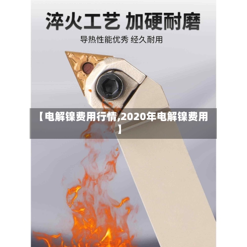 【电解镍费用行情,2020年电解镍费用】