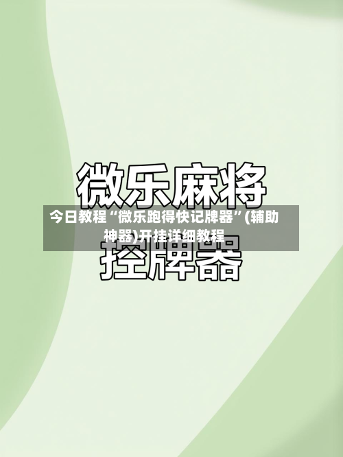 今日教程“微乐跑得快记牌器”(辅助神器)开挂详细教程-第3张图片
