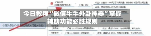 今日教程“微信牛牛外卦神器”掌握辅助功能必胜规则-第3张图片