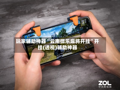 玩家辅助神器“云南微乐麻将开挂”开挂(透视)辅助神器-第3张图片