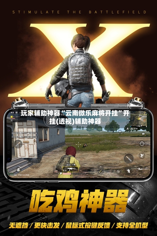 玩家辅助神器“云南微乐麻将开挂”开挂(透视)辅助神器-第2张图片