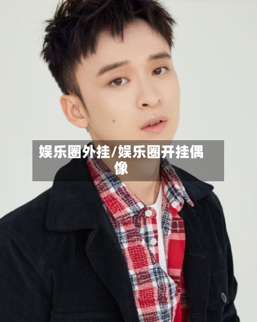 娱乐圈外挂/娱乐圈开挂偶像