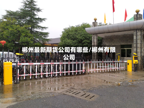 郴州最新期货公司有哪些/郴州有限公司-第1张图片