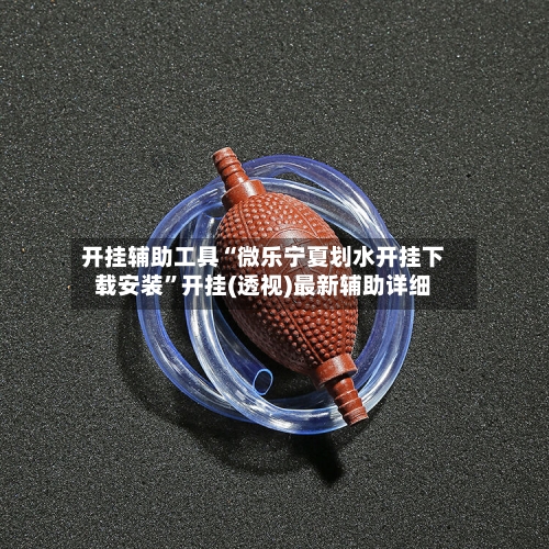 开挂辅助工具“微乐宁夏划水开挂下载安装”开挂(透视)最新辅助详细-第3张图片