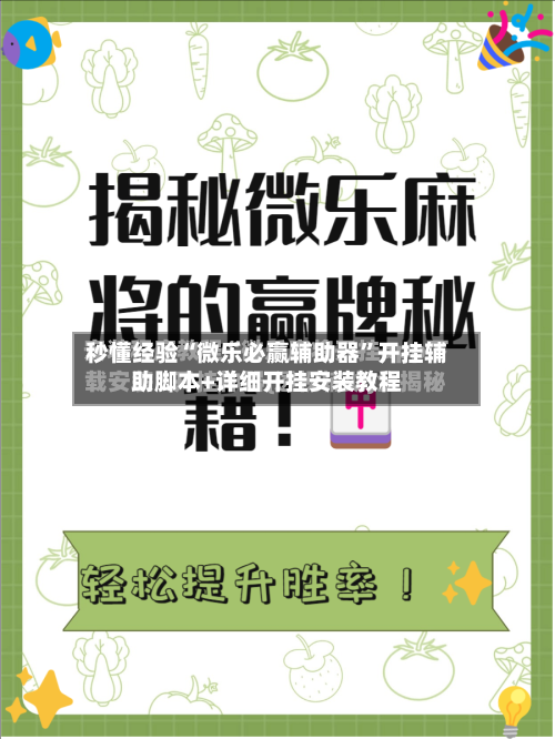 秒懂经验“微乐必赢辅助器”开挂辅助脚本+详细开挂安装教程