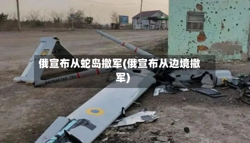 俄宣布从蛇岛撤军(俄宣布从边境撤军)