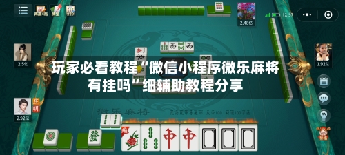 玩家必看教程“微信小程序微乐麻将有挂吗	”细辅助教程分享-第3张图片