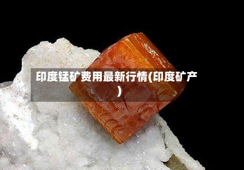 印度锰矿费用最新行情(印度矿产)-第3张图片