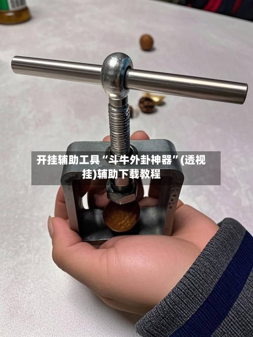 开挂辅助工具“斗牛外卦神器”(透视挂)辅助下载教程