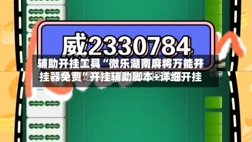 辅助开挂工具“微乐湖南麻将万能开挂器免费”开挂辅助脚本+详细开挂-第2张图片