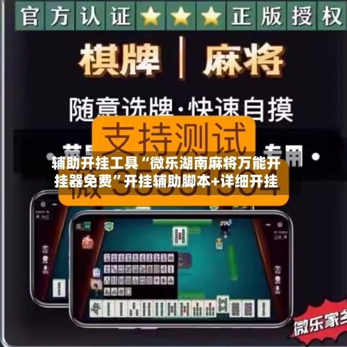 辅助开挂工具“微乐湖南麻将万能开挂器免费”开挂辅助脚本+详细开挂-第3张图片
