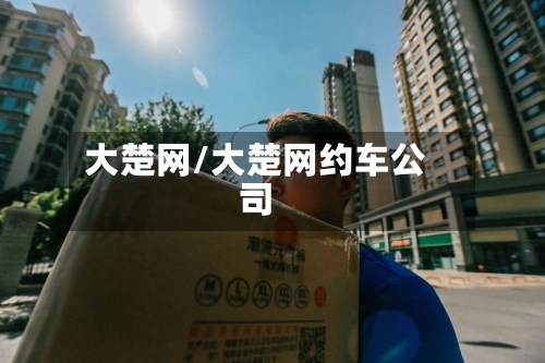 大楚网/大楚网约车公司-第1张图片